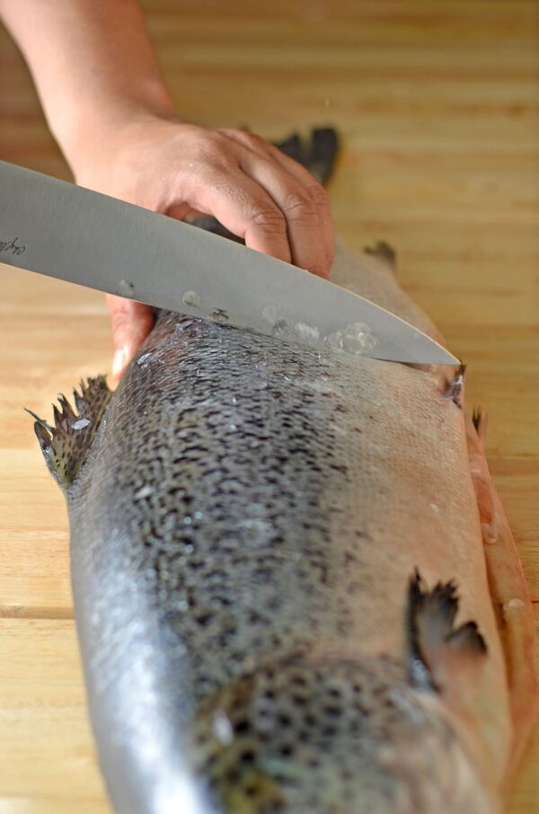 10 inch Chef's Knife - Image 6